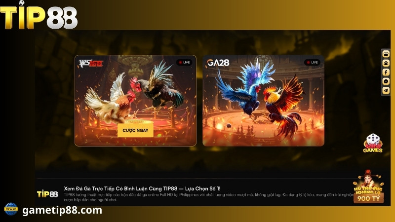 đá gà tip88