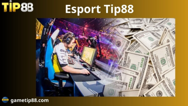 lý do nên tham gia esport tip88