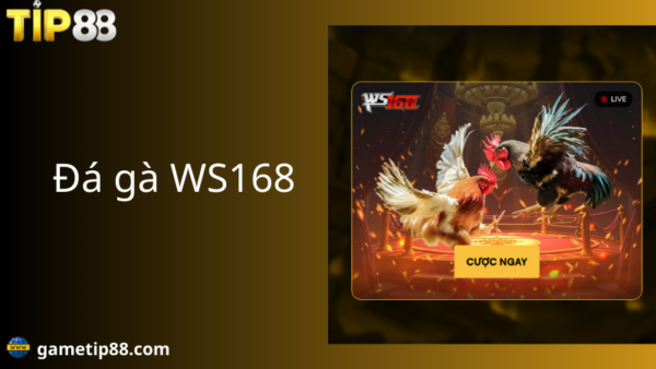 tổng quan về đá gà ws168