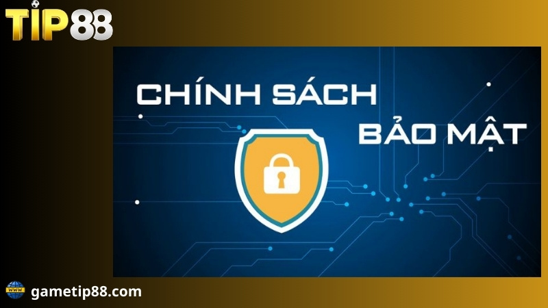 vai trò của chính sách bảo mật tip88
